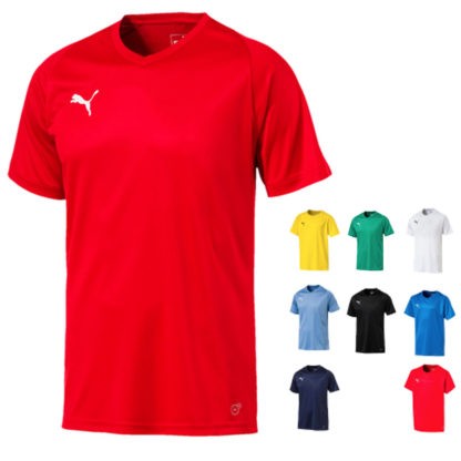 Tee shirt training Puma - modèle LIGA CORE