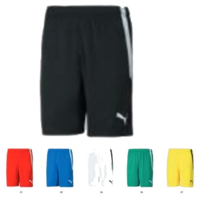 Short Puma – modèle TEAM LIGA