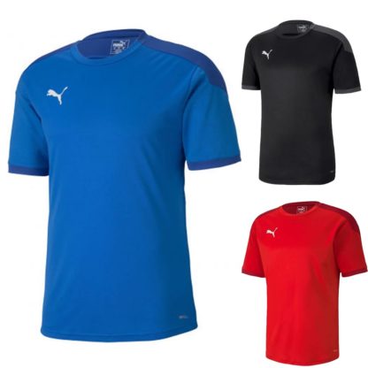 Tee shirt training Puma – modèle TeamFINAL