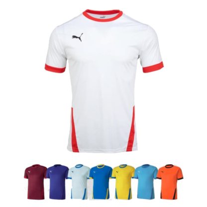 Maillot Puma – modèle TEAM GOAL